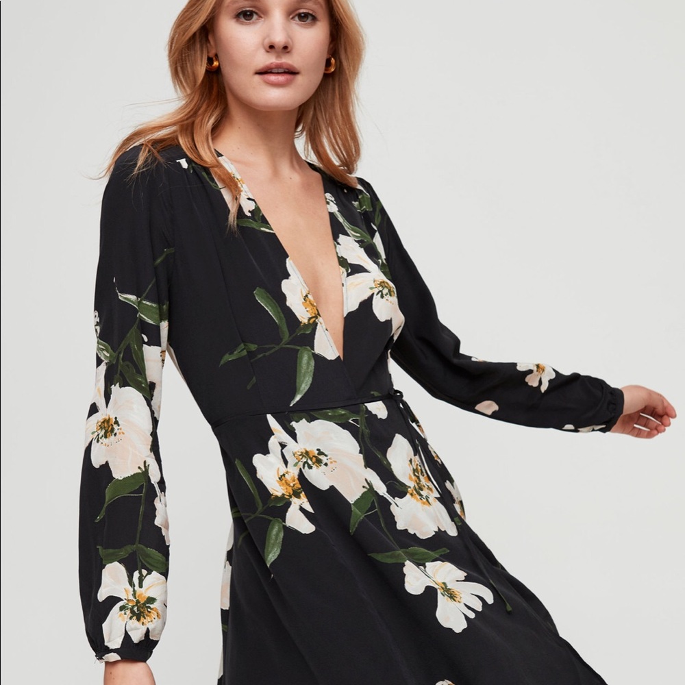 Aritzia Diane Dress